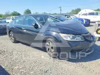 2017 Honda Accord photo