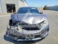2017 Honda Accord photo