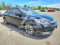 2017 Honda Accord фото