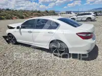 2017 Honda Accord photo