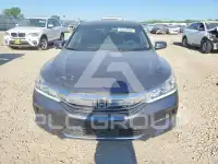 2017 Honda Accord photo