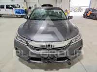 2017 Honda Accord photo