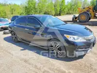 2017 Honda Accord photo