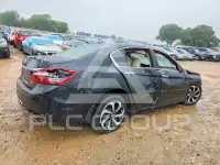 2017 Honda Accord photo