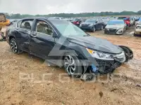 2017 Honda Accord photo