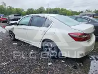 2017 Honda Accord photo