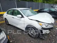 2017 Honda Accord photo