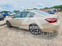 2017 Honda Accord photo