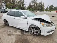 2017 Honda Accord photo