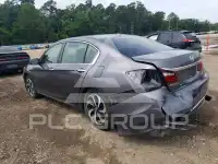 2017 Honda Accord photo