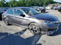 2017 Honda Accord photo