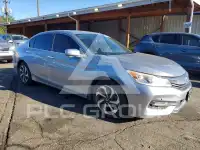 2017 Honda Accord photo