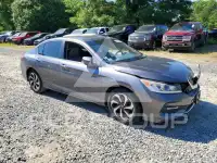 2017 Honda Accord photo