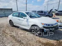 2017 Honda Accord фото