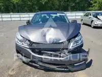 2017 Honda Accord photo