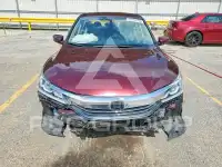 2017 Honda Accord photo