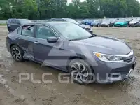 2017 Honda Accord photo