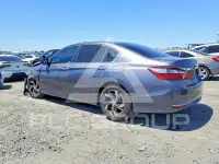 2017 Honda Accord photo
