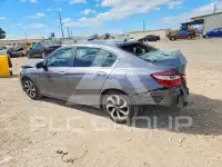 2017 Honda Accord фото