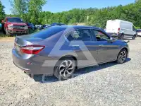 2017 Honda Accord photo