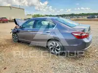 2017 Honda Accord фото