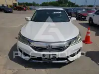 2017 Honda Accord photo