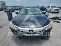 2017 Honda Accord photo