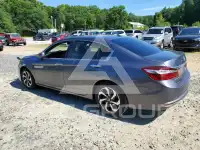 2017 Honda Accord photo