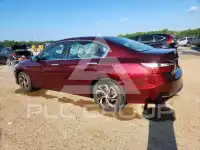 2017 Honda Accord photo