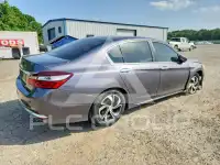 2017 Honda Accord photo