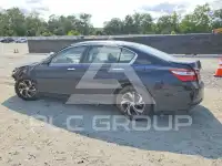 2017 Honda Accord photo