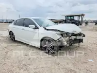 2017 Honda Accord photo