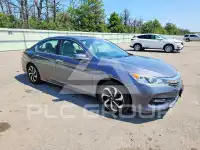2017 Honda Accord photo