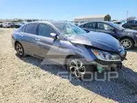 2017 Honda Accord photo