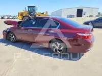 2017 Honda Accord фото
