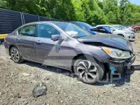 2017 Honda Accord фото