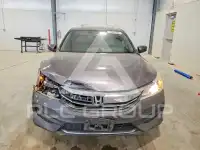 2017 Honda Accord photo