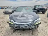 2017 Honda Accord photo
