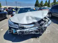 2017 Honda Accord photo