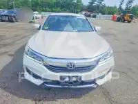 2017 Honda Accord photo