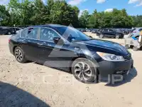 2017 Honda Accord фото