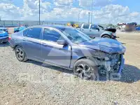 2017 Honda Accord photo