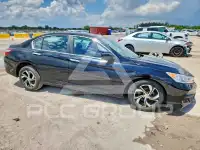 2017 Honda Accord photo