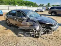 2017 Honda Accord фото