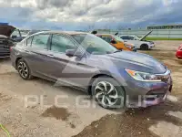 2017 Honda Accord photo