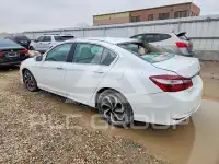 2017 Honda Accord фото