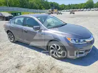 2017 Honda Accord photo