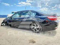 2017 Honda Accord photo