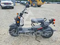 2017 Honda Unknown photo