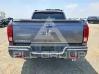 2017 Honda RIDGELINE фото